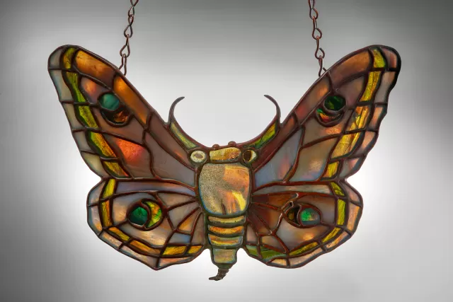 Moth Lamp Screen for a Tiffany Lamp